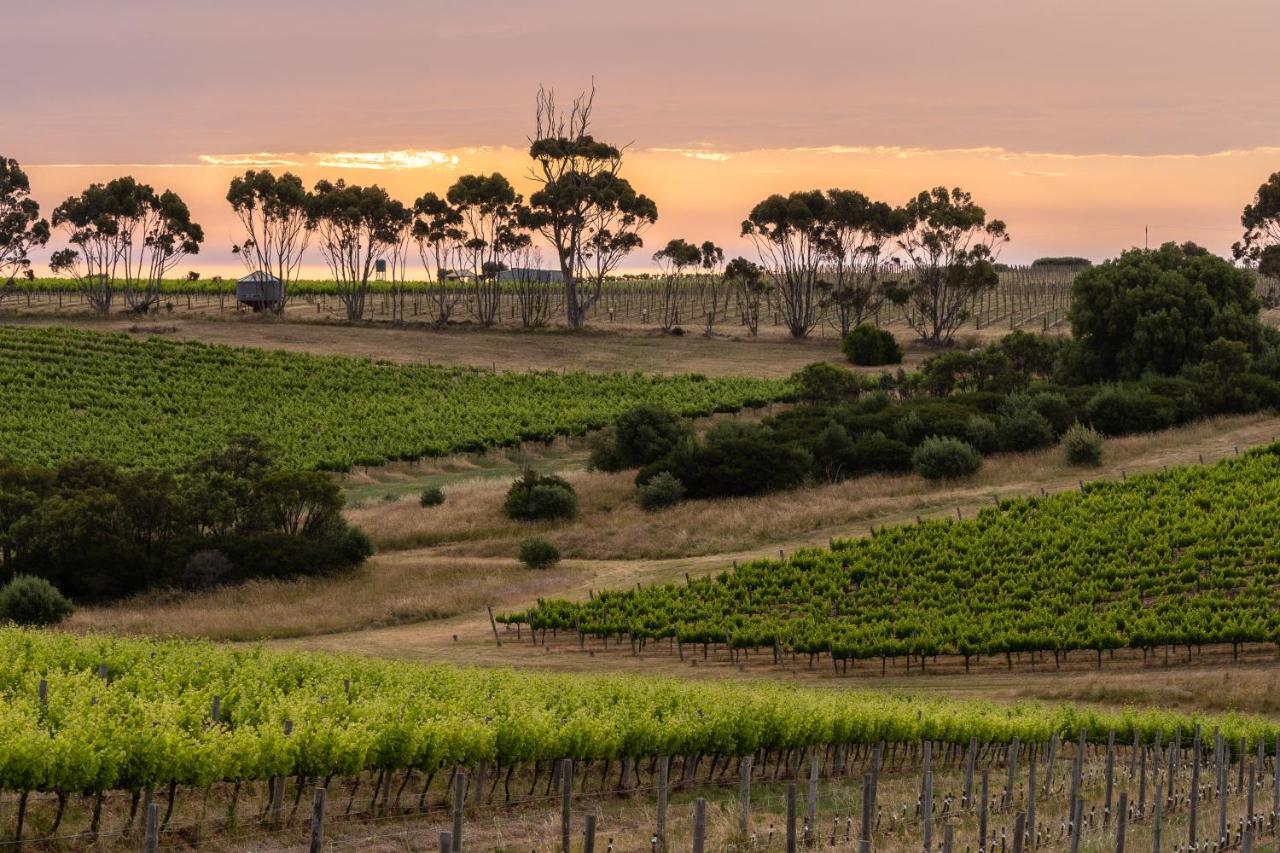 Hotel California Road At Inkwell Wines Mclaren Vale Exterior photo